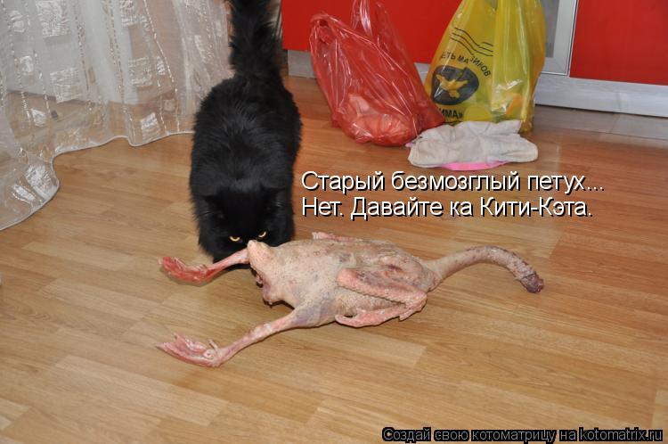 Котоматрица: Старый безмозглый петух... Нет. Давайте ка Кити-Кэта.