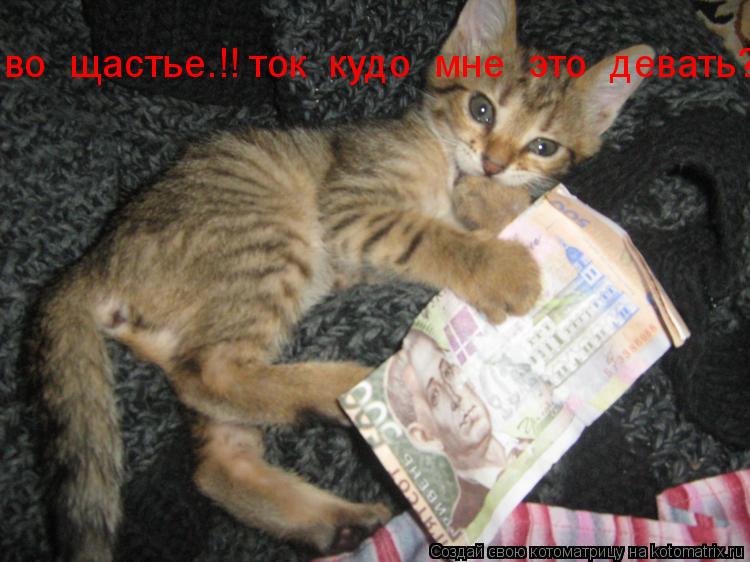 Котоматрица: во  щастье.!! ток  кудо  мне  это  девать???
