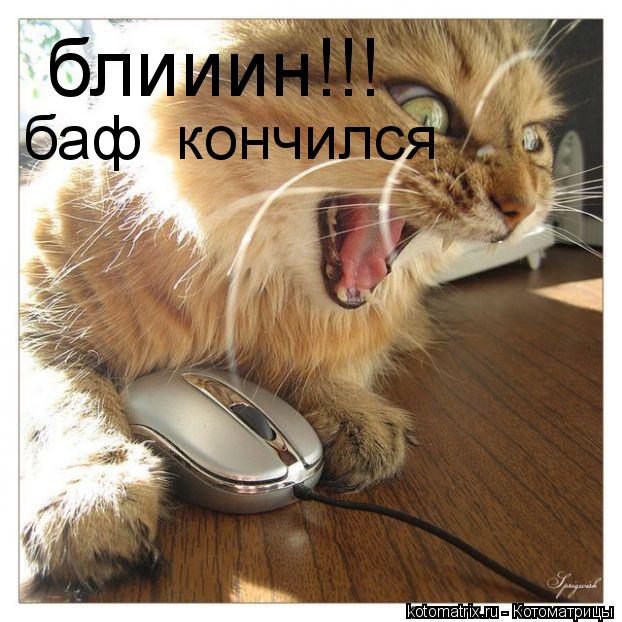 Котоматрица: блииин!!! баф  кончился