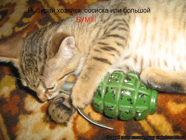 Котоматрица: Выбирай хозяйка: сосиска или большой  БУМ!!!