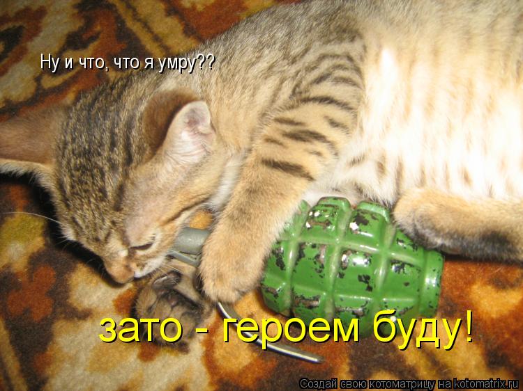 Котоматрица: Ну и что, что я умру?? зато - героем буду!