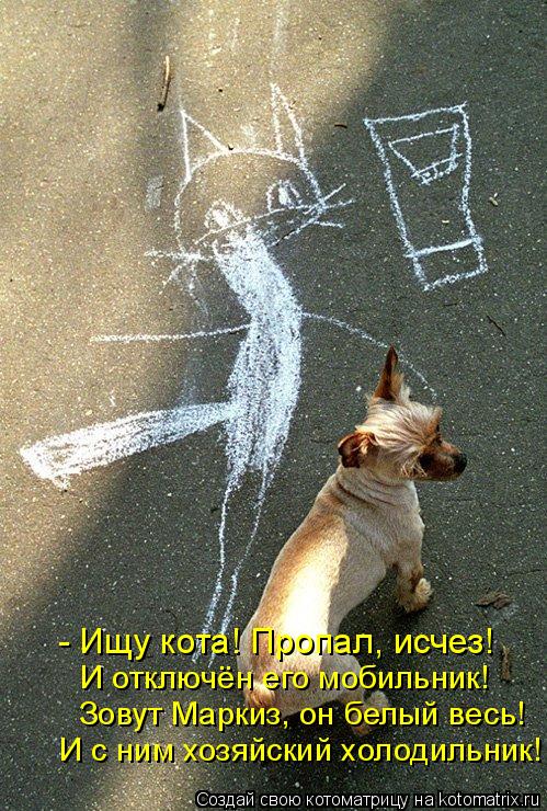 - Ищу кота! Пропал, исчез! И отключён его мобильник! Зовут Маркиз, он белый весь! И с ним хозяйский х... Котоматрица: - Ищу кота! Пропал, исчез! И отключён его мобильник! Зовут Маркиз, он белый весь! И с ним хозяйский холодильник!