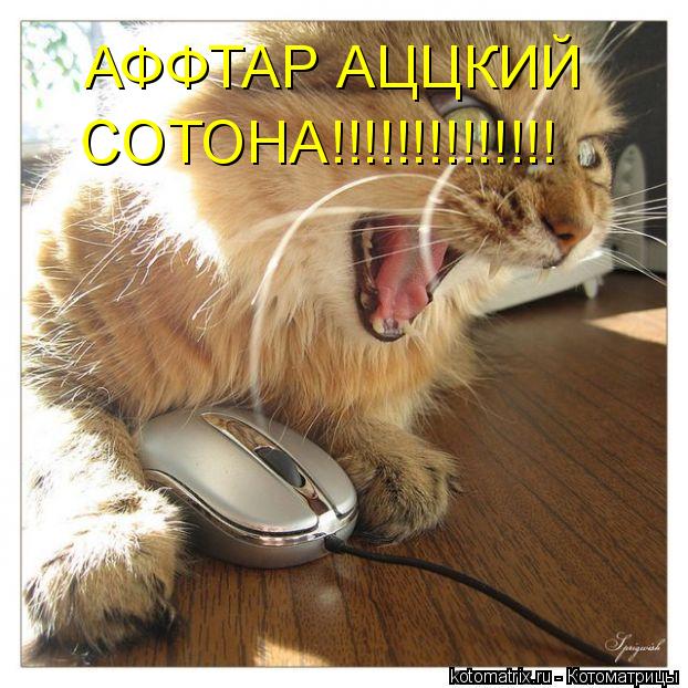 Котоматрица: АФФТАР АЦЦКИЙ  СОТОНА!!!!!!!!!!!!!!