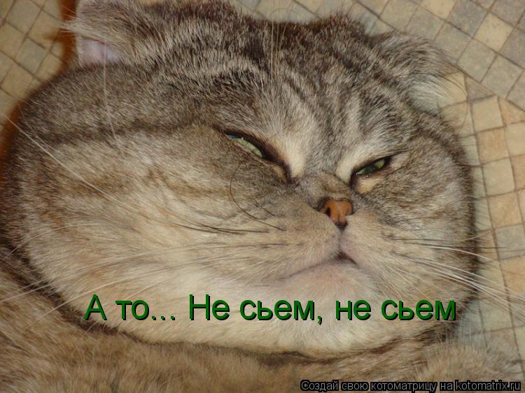 Котоматрица: А то... Не сьем, не сьем