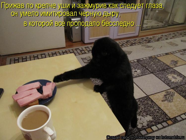 Котоматрица: Прижав по крепче уши и зажмурив как следует глаза, он умело имитировал черную дыру, в которой все проподало бесследно ...