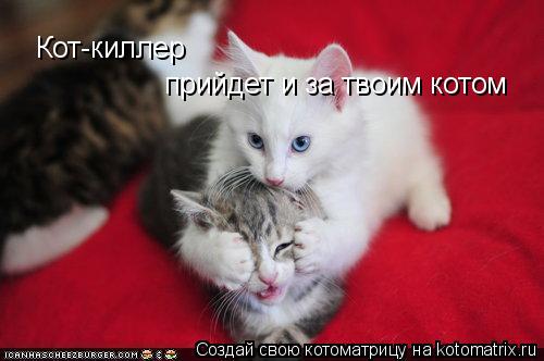 Котоматрица: Кот-киллер прийдет и за твоим котом