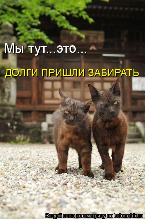 Котоматрица: Мы тут...это... ДОЛГИ ПРИШЛИ ЗАБИРАТЬ
