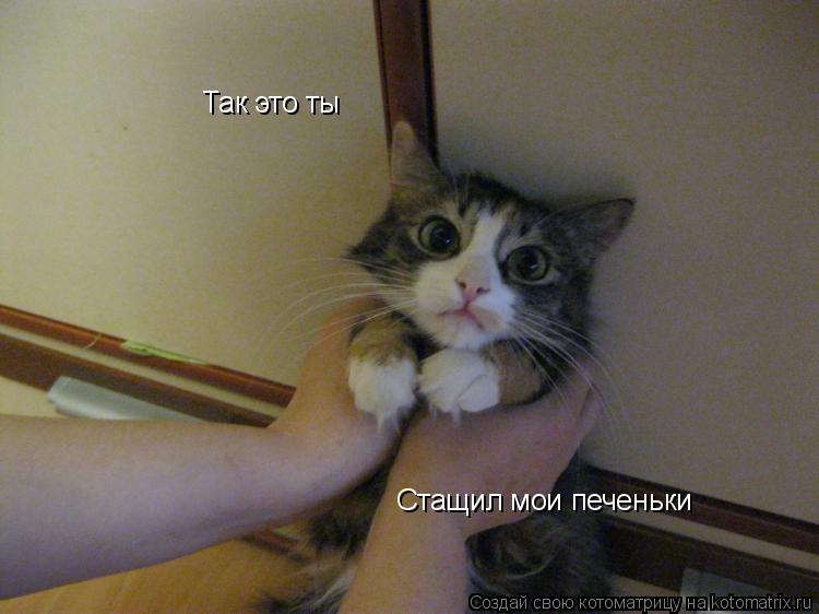 Котоматрица: Так это ты Стащил мои печеньки