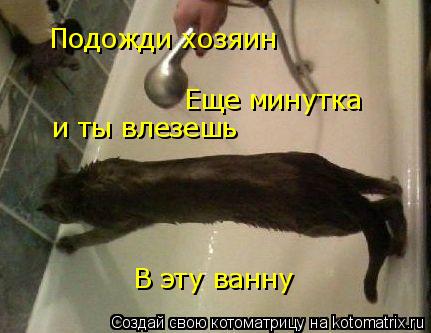 Котоматрица: Подожди хозяин Еще минутка  и ты влезешь В эту ванну