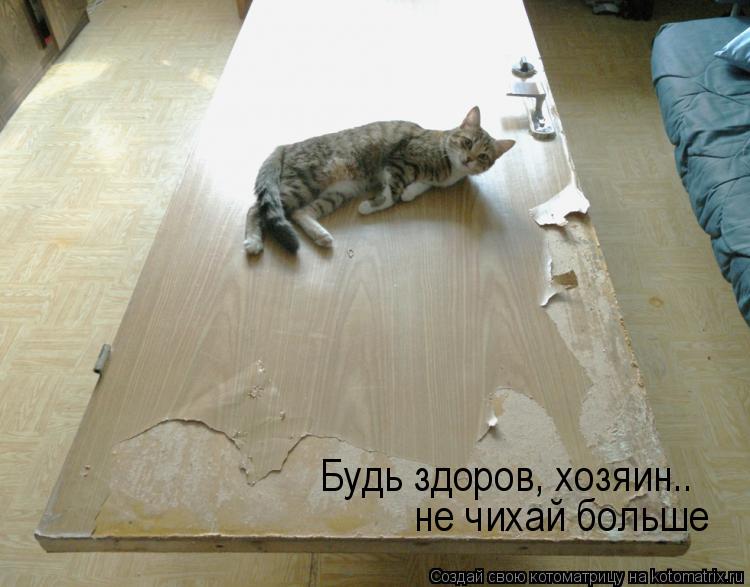 Котоматрица: Будь здоров, хозяин.. не чихай больше
