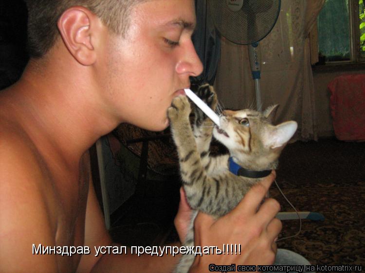 Котоматрица: Минздрав устал предупреждать!!!!!