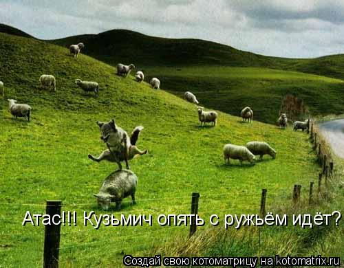 Котоматрица: Атас!!! Кузьмич опять с ружьём идёт?