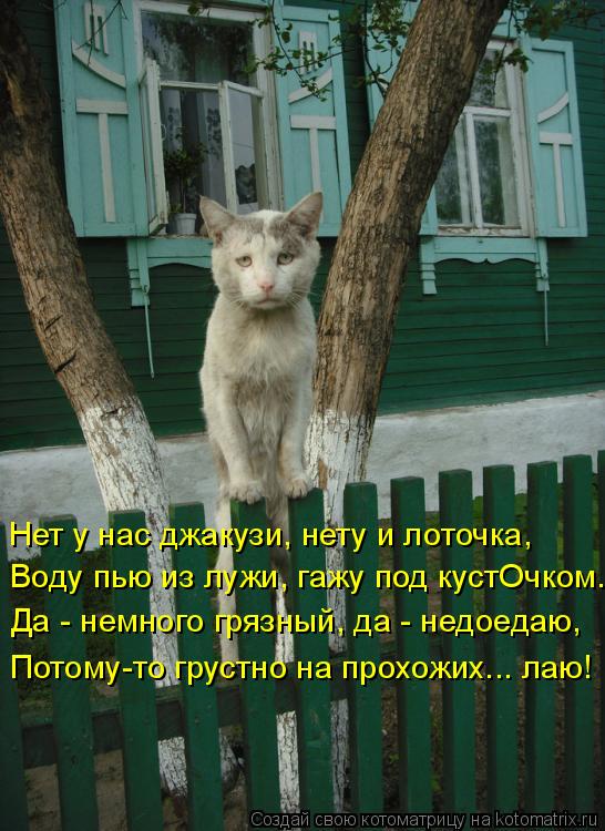 Нет у нас джакузи, нету и лоточка, Воду пью из лужи, гажу под кустОчком. Да - немного грязный, да ... Котоматрица: Нет у нас джакузи, нету и лоточка, Воду пью из лужи, гажу под кустОчком. Да - немного грязный, да - недоедаю, Потому-то грустно на прохожих... л