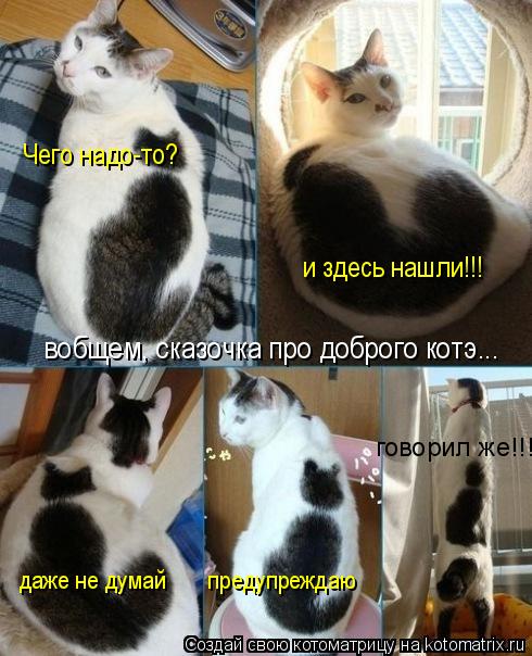 Чего надо-то? и здесь нашли!!! даже не думай предупреждаю говорил же!!! вобщем, сказочка про д... Котоматрица: Чего надо-то? и здесь нашли!!! даже не думай предупреждаю говорил же!!! вобщем, сказочка про доброго котэ...