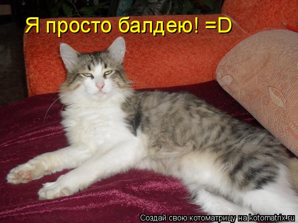 Котоматрица: Я просто балдею! =D