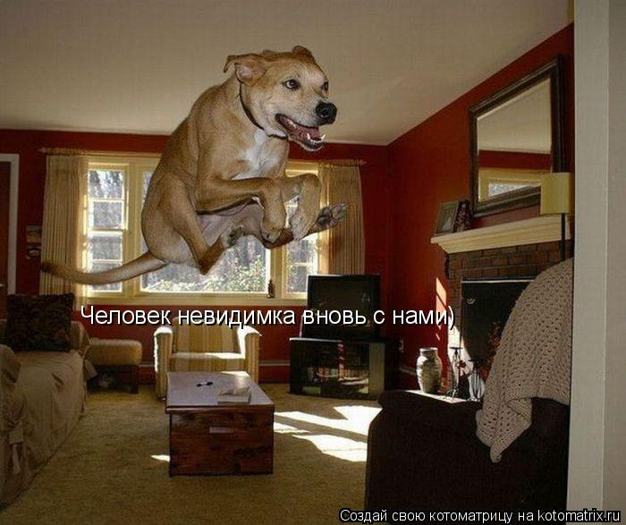 Котоматрица: Человек невидимка вновь с нами)
