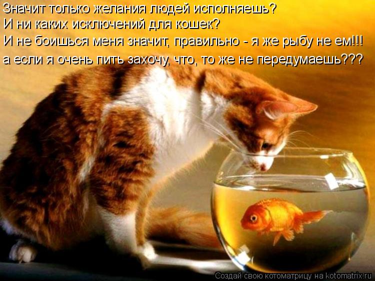Значит только желания людей исполняешь? И ни каких исключений для кошек? а если я очень пить захочу, ... Котоматрица: Значит только желания людей исполняешь? И ни каких исключений для кошек? а если я очень пить захочу, что, то же не передумаешь??? И не боишься