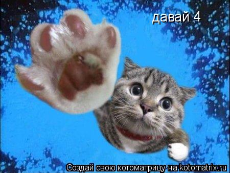 Котоматрица: давай 4