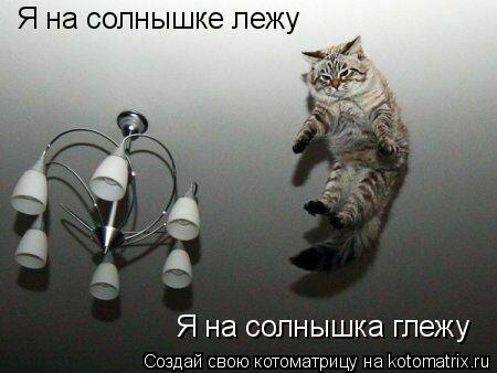Котоматрица: Я на солнышке лежу Я на солнышка глежу
