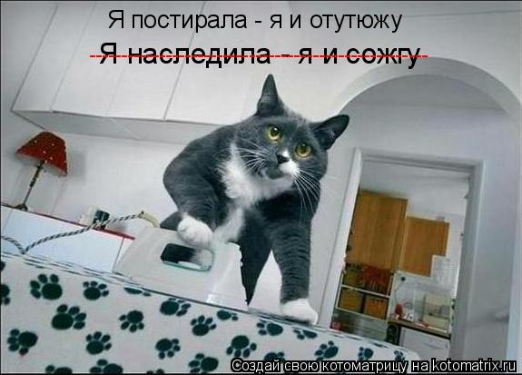 Котоматрица: Я наследила - я и сожгу Я постирала - я и отутюжу -----------------------------------------------------