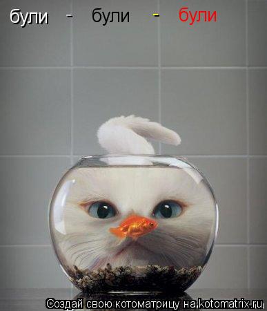 Котоматрица: були були були - -