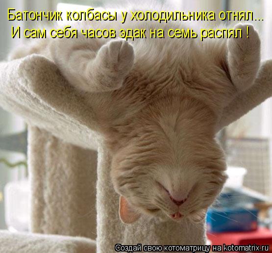 Котоматрица: Батончик колбасы у холодильника отнял... И сам себя часов эдак на семь распял !