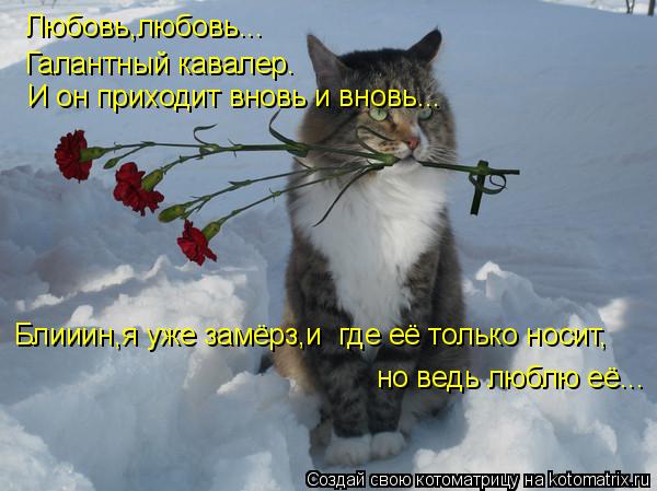 Любовь,любовь... Галантный кавалер. И он приходит вновь и вновь... Блииин,я уже замёрз,и где её толь... Котоматрица: Любовь,любовь... Галантный кавалер. И он приходит вновь и вновь... Блииин,я уже замёрз,и где её только носит, но ведь люблю её...