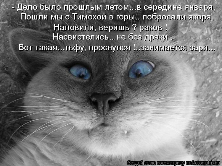 - Дело было прошлым летом...в середине января, Пошли мы с Тимохой в горы...побросали якоря. Наловили,... Котоматрица: - Дело было прошлым летом...в середине января, Пошли мы с Тимохой в горы...побросали якоря. Наловили, веришь ? раков ! Насвистелись...не без драк