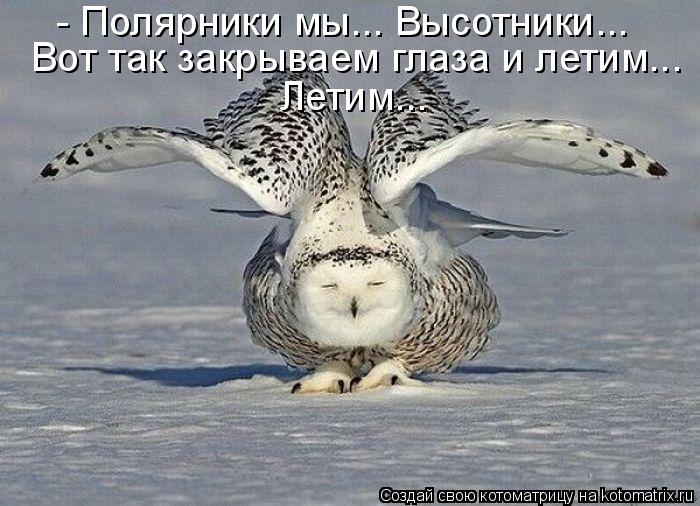 - Полярники мы... Высотники... Вот так закрываем глаза и летим... Летим...... Котоматрица: - Полярники мы... Высотники... Вот так закрываем глаза и летим... Летим...