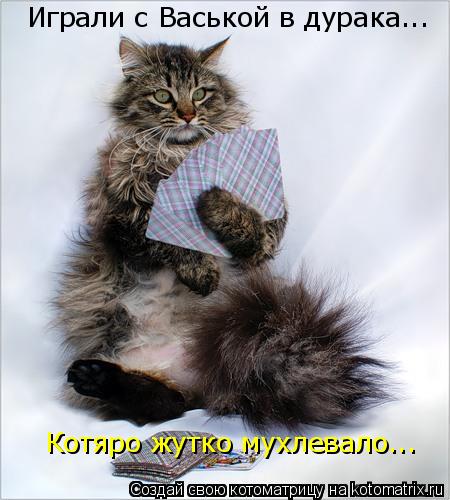 Играли с Васькой в дурака... Котяро жутко мухлевало...... Котоматрица: Играли с Васькой в дурака... Котяро жутко мухлевало...