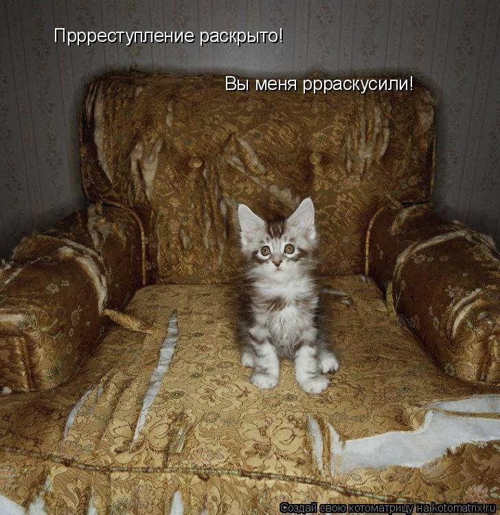 Пррреступление раскрыто! Вы меня ррраскусили!... Котоматрица: Пррреступление раскрыто! Вы меня ррраскусили!