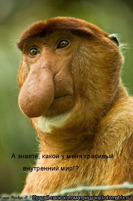 А знаете, какой у меня красивый внутренний мир! А знаете, какой у меня красивый внутренний мир!?... Котоматрица: А знаете, какой у меня красивый внутренний мир! А знаете, какой у меня красивый внутренний мир!?