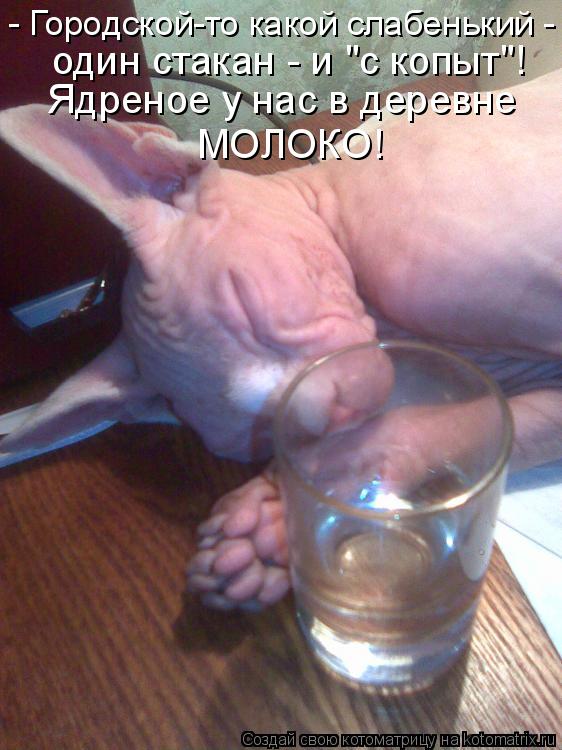 Котоматрица: - Городской-то какой слабенький -  один стакан - и "с копыт"! Ядреное у нас в деревне МОЛОКО!