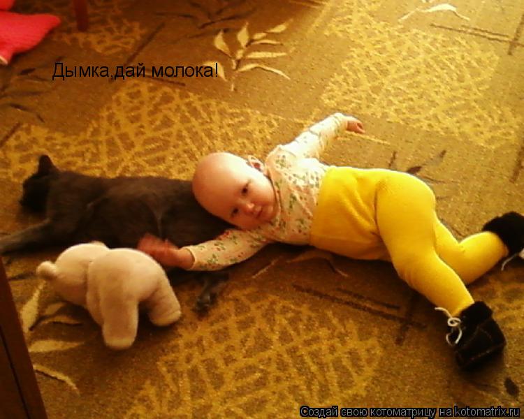 Дымка,дай молока!... Котоматрица: Дымка,дай молока!