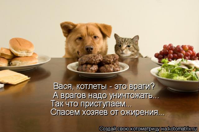 Вася, котлеты - это враги? А врагов надо уничтожать... Так что приступаем... Спасем хозяев от ожирени... Котоматрица: Вася, котлеты - это враги? А врагов надо уничтожать... Так что приступаем... Спасем хозяев от ожирения...