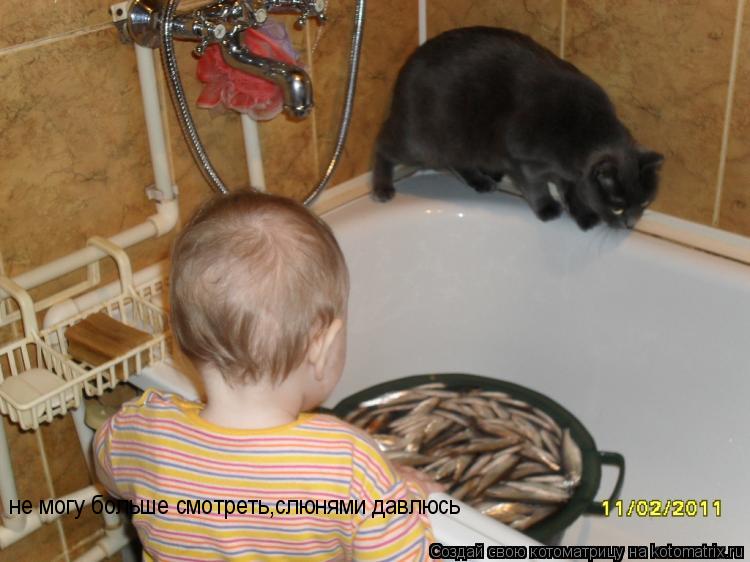 не могу больше смотреть,слюнями давлюсь... Котоматрица: не могу больше смотреть,слюнями давлюсь