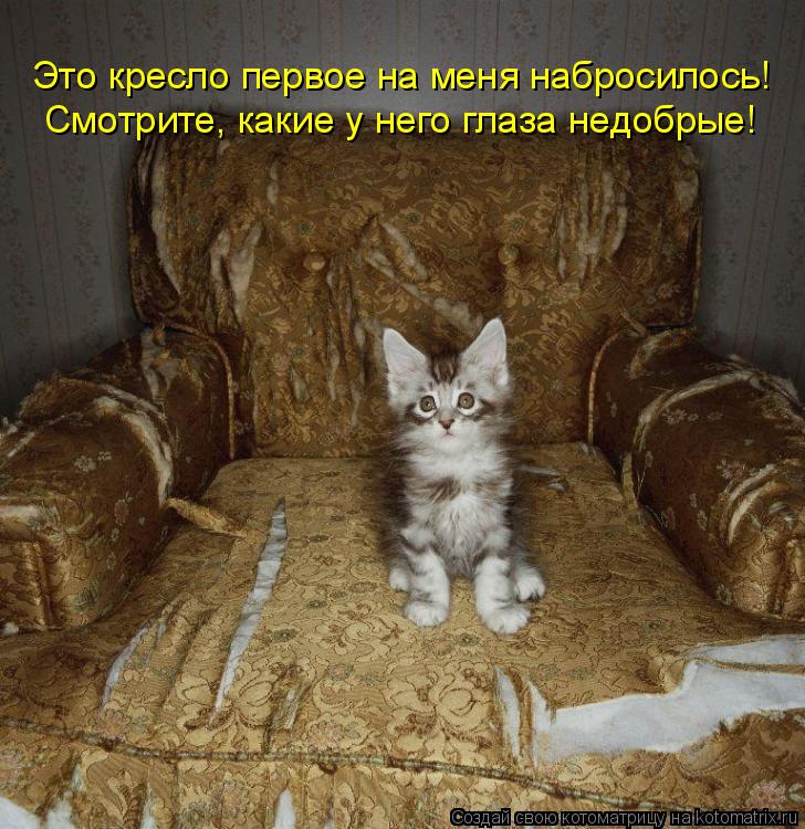 Котоматрица: Это кресло первое на меня набросилось! Смотрите, какие у него глаза недобрые!