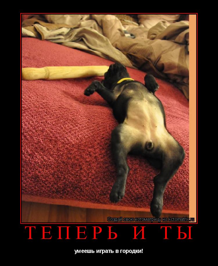 теперь и ты умеешь играть в городки!... Котоматрица: теперь и ты умеешь играть в городки!