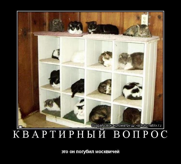 Котоматрица: квартирный вопрос это он погубил москвичей