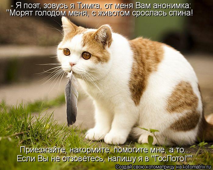 Котоматрица: - Я поэт, зовусь я Тимка, от меня Вам анонимка: "Морят голодом меня, с животом срослась спина! Приезжайте, накормите, помогите мне, а то... Если В
