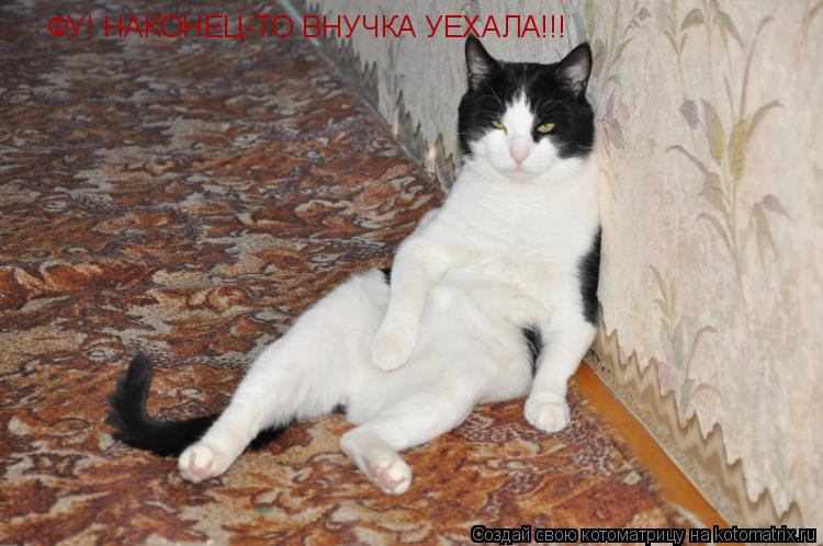 Котоматрица: ФУ! НАКОНЕЦ-ТО ВНУЧКА УЕХАЛА!!!