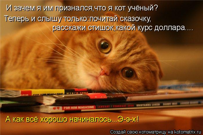 Котоматрица: И зачем я им признался,что я кот учёный? Теперь и слышу только:почитай сказочку, расскажи стишок,какой курс доллара.... А как всё хорошо начин