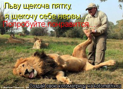 Котоматрица: Льву щекоча пятку, я щекочу себе нервы... Попробуйте,понравится...