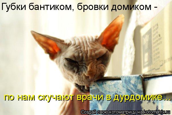 Котоматрица: Губки бантиком, бровки домиком -  по нам скучают врачи в дурдомике...