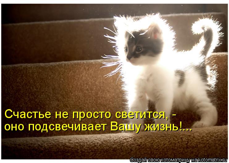 Котоматрица: Счастье не просто светится, - оно подсвечивает Вашу жизнь!...
