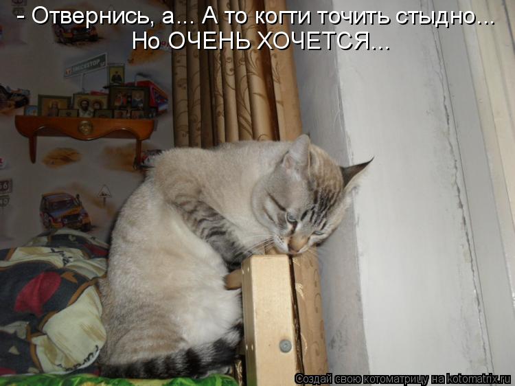 Котоматрица: - Отвернись, а... А то когти точить стыдно... Но ОЧЕНЬ ХОЧЕТСЯ...