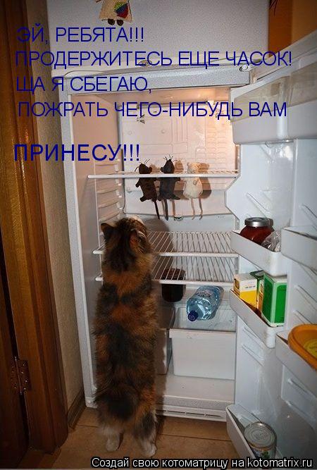 Котоматрица: ЭЙ, РЕБЯТА!!! ПРОДЕРЖИТЕСЬ ЕЩЕ ЧАСОК! ЩА Я СБЕГАЮ,  ПОЖРАТЬ ЧЕГО-НИБУДЬ ВАМ  ПРИНЕСУ!!!