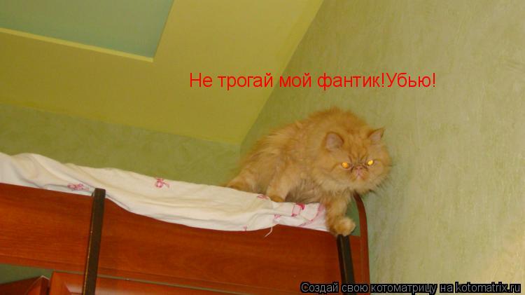 Котоматрица: Не трогай мой фантик!Убью!