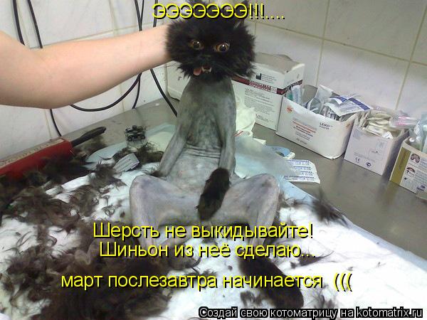 Котоматрица: ЭЭЭЭЭЭЭ!!!.... Шерсть не выкидывайте! Шиньон из неё сделаю... март послезавтра начинается  (((