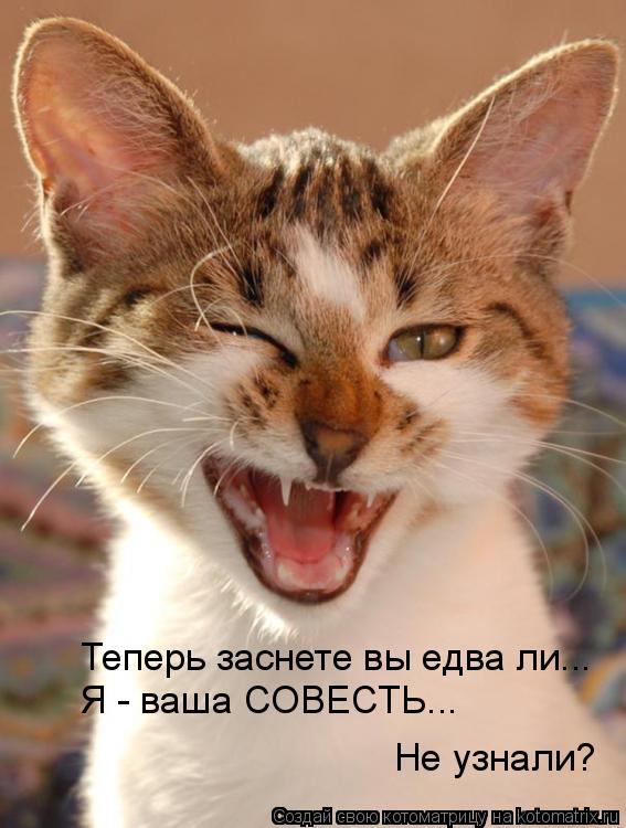 Теперь заснете вы едва ли... Я - ваша СОВЕСТЬ... Не узнали?... Котоматрица: Теперь заснете вы едва ли... Я - ваша СОВЕСТЬ... Не узнали?